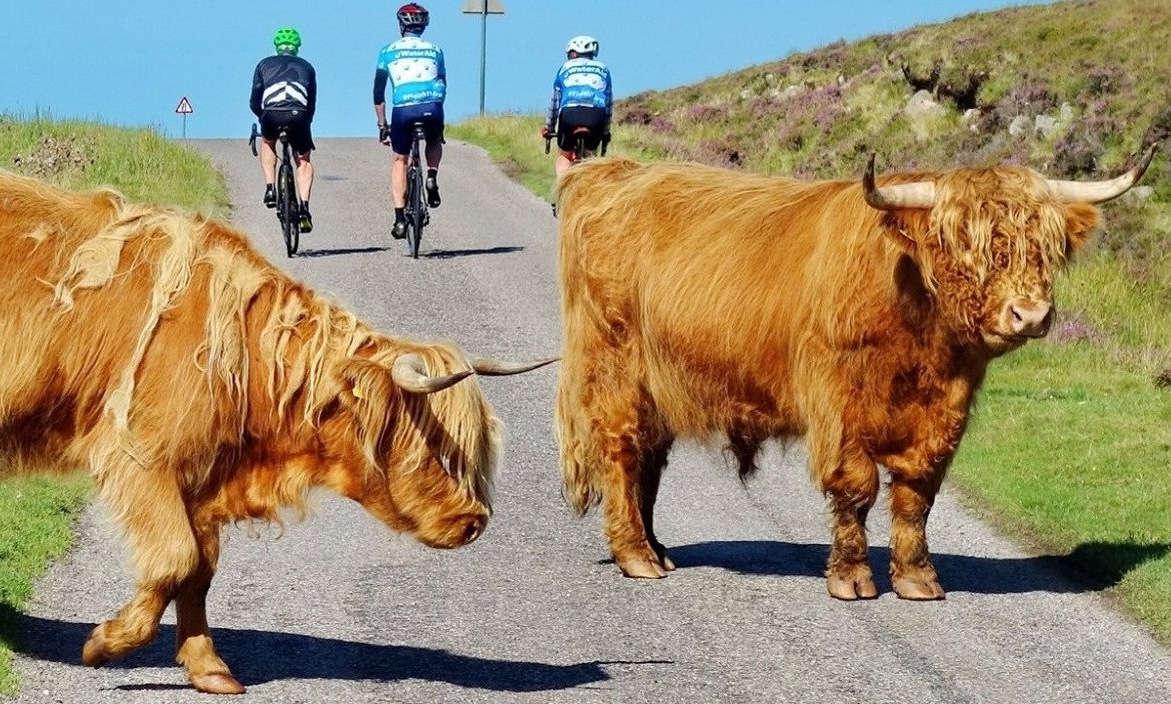 Photos from our Far North Cycling Holiday